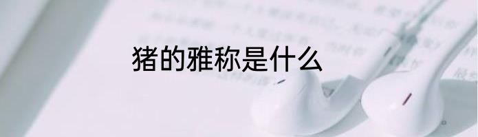 猪的雅称是什么