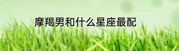 摩羯男和什么星座最配
