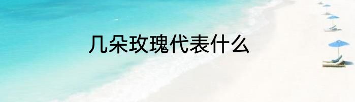 几朵玫瑰代表什么