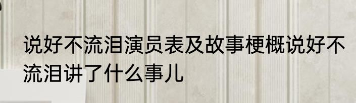 说好不流泪演员表及故事梗概说好不流泪讲了什么事儿