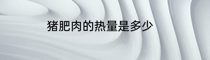 猪肥肉的热量是多少