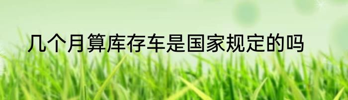 几个月算库存车是国家规定的吗