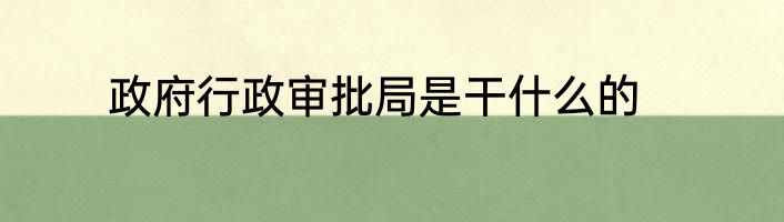 政府行政审批局是干什么的