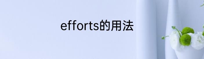 efforts的用法