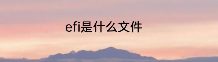 efi是什么文件