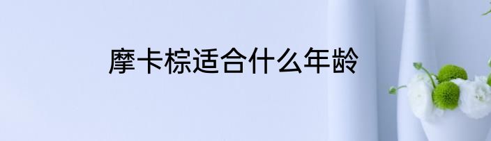 摩卡棕适合什么年龄