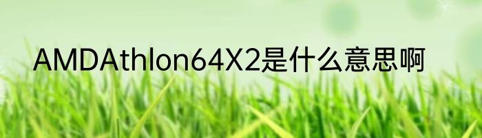 AMDAthlon64X2是什么意思啊
