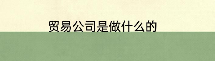 贸易公司是做什么的