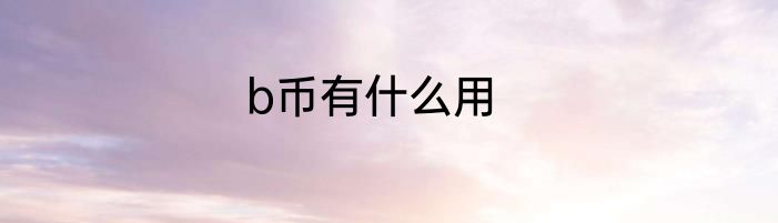 b币有什么用