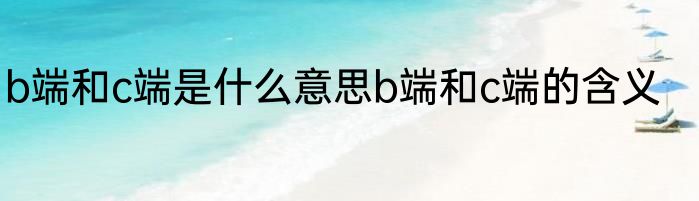 b端和c端是什么意思b端和c端的含义