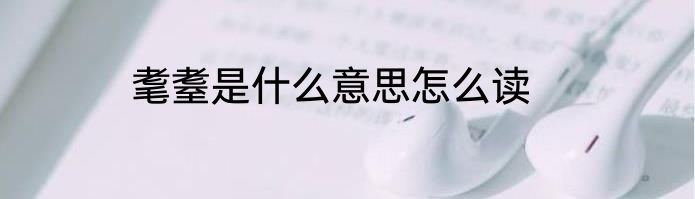 耄耋是什么意思怎么读