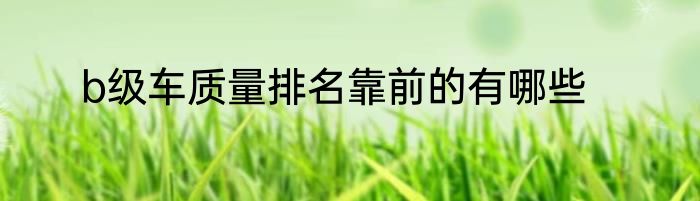 b级车质量排名靠前的有哪些
