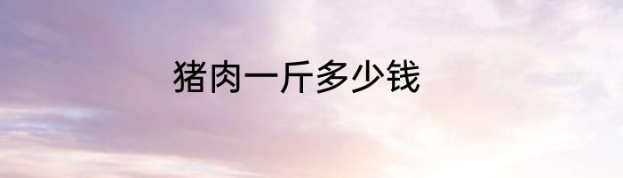 猪肉一斤多少钱