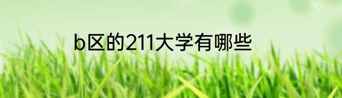 b区的211大学有哪些