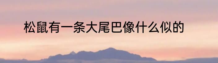 松鼠有一条大尾巴像什么似的