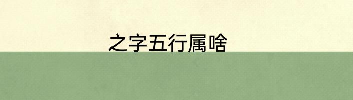 之字五行属啥