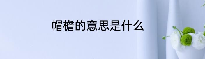 帽檐的意思是什么