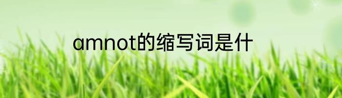 amnot的缩写词是什