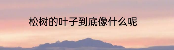 松树的叶子到底像什么呢