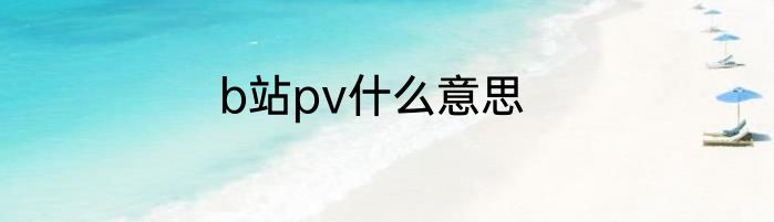 b站pv什么意思