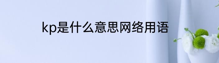 kp是什么意思网络用语