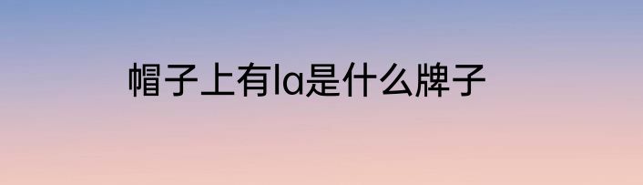 帽子上有la是什么牌子