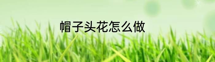 帽子头花怎么做