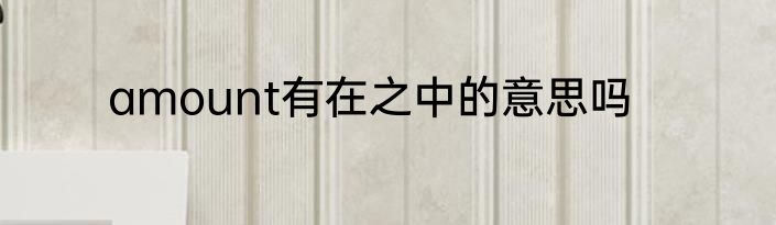 amount有在之中的意思吗