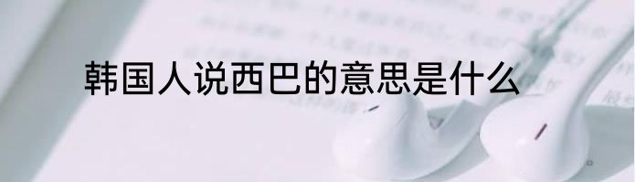 韩国人说西巴的意思是什么