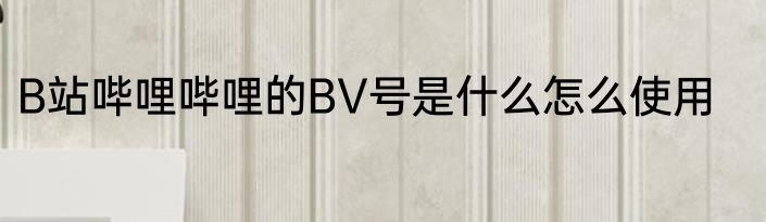 B站哔哩哔哩的BV号是什么怎么使用