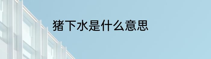猪下水是什么意思