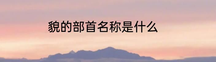 貌的部首名称是什么