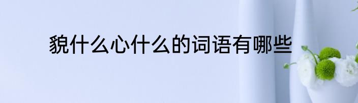 貌什么心什么的词语有哪些