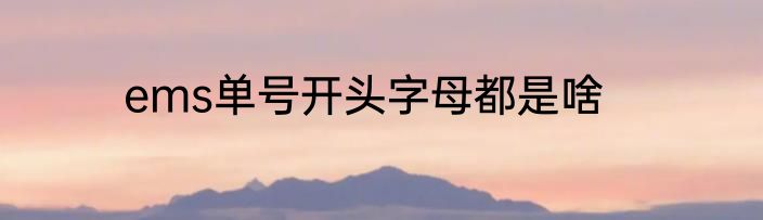 ems单号开头字母都是啥