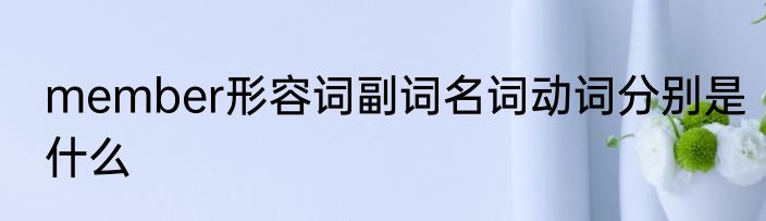 member形容词副词名词动词分别是什么