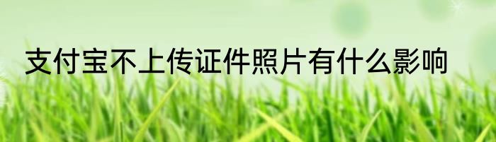 支付宝不上传证件照片有什么影响