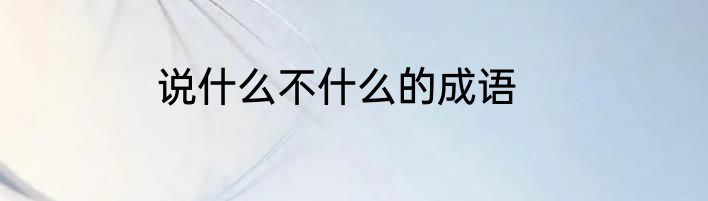说什么不什么的成语