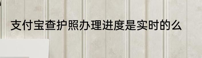 支付宝查护照办理进度是实时的么