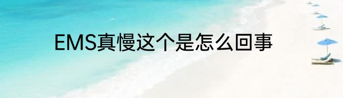 EMS真慢这个是怎么回事