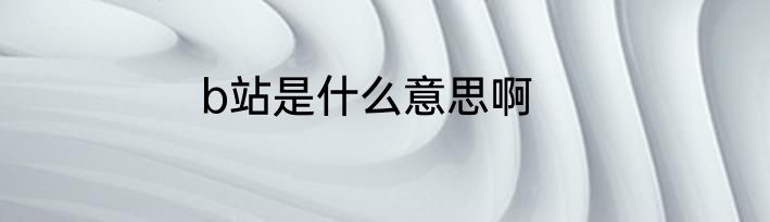 b站是什么意思啊