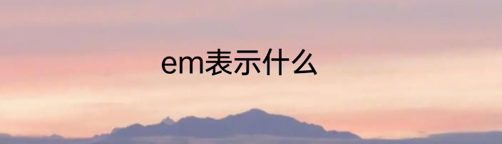 em表示什么