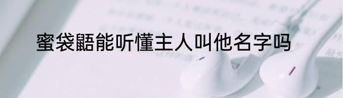 蜜袋鼯能听懂主人叫他名字吗