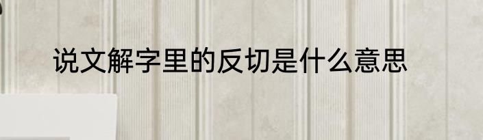 说文解字里的反切是什么意思