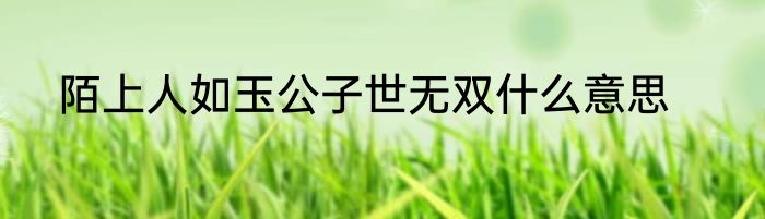 陌上人如玉公子世无双什么意思