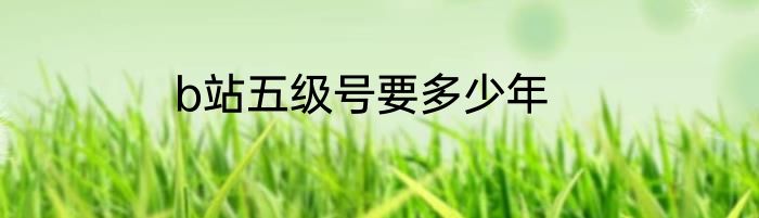 b站五级号要多少年