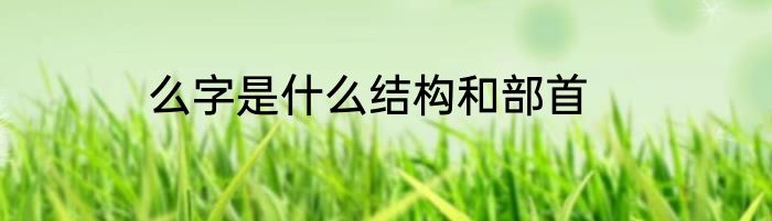 么字是什么结构和部首
