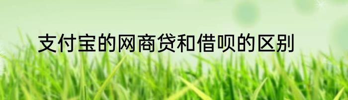 支付宝的网商贷和借呗的区别