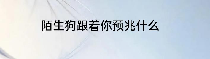 陌生狗跟着你预兆什么