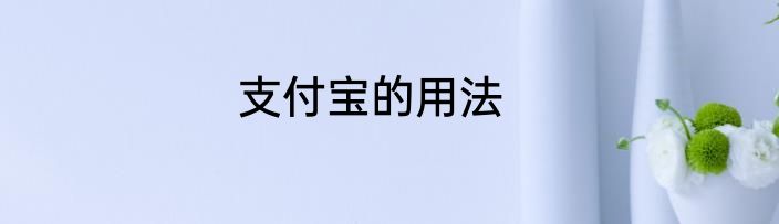 支付宝的用法