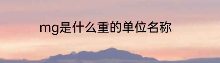 mg是什么重的单位名称